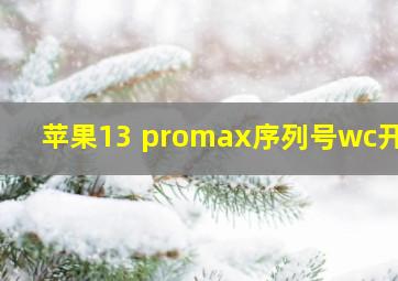 苹果13 promax序列号wc开头